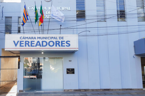 Comissão Representativa do Recesso Câmara de Soledade
