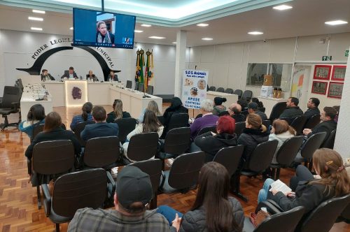 Audiência Pública em Soledade aborda políticas para a causa animal